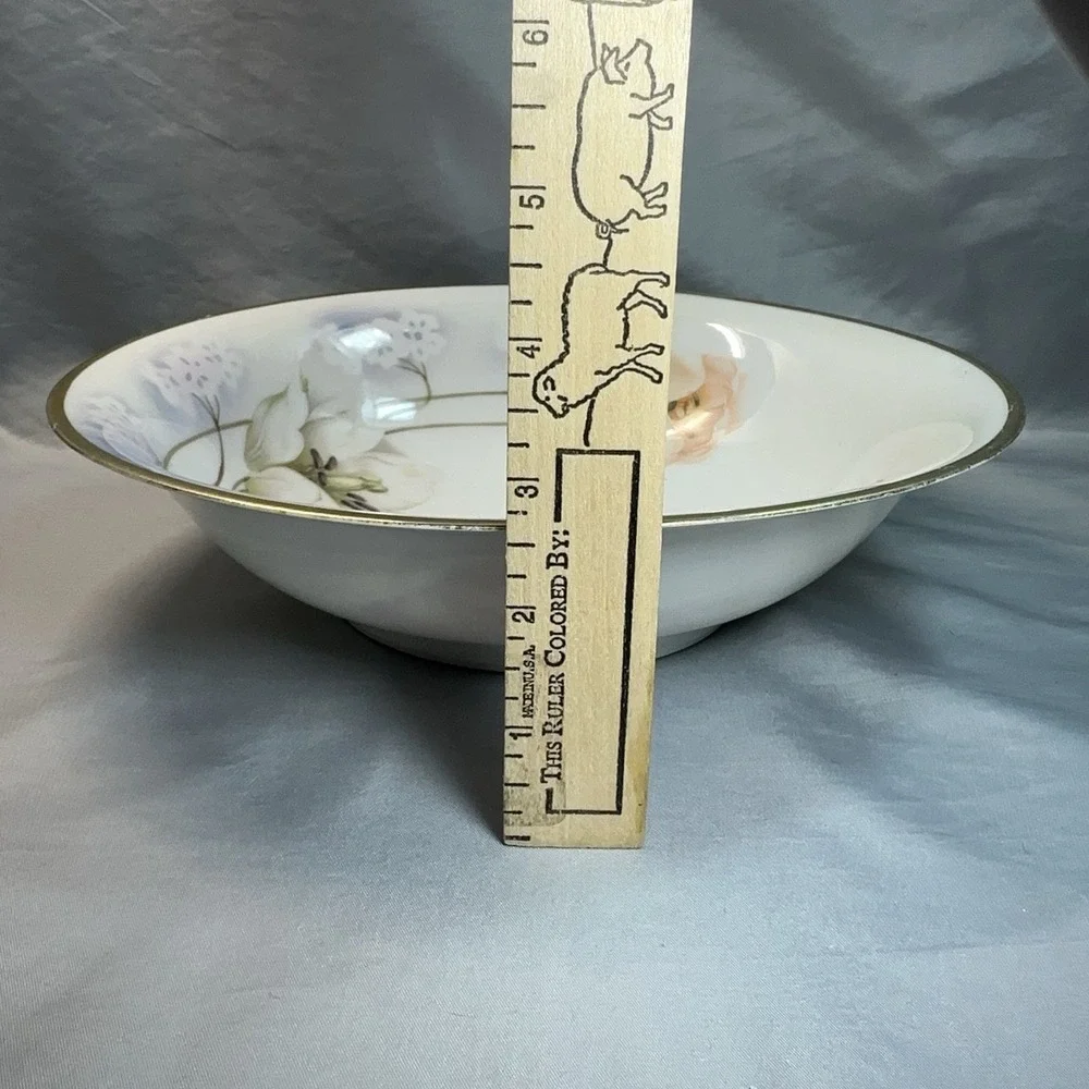 Antique Prov Saxe ES Germany Serving Bowl 10
